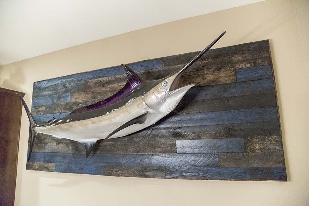 Reclaimed Speckled Black Marlin Display / Fish Mount