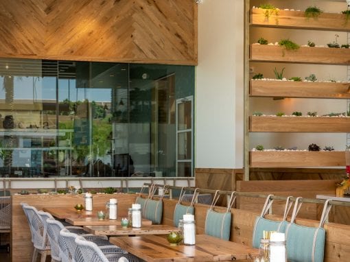 Inside Tocaya Modern Mexican – Scottsdale Fashion Square