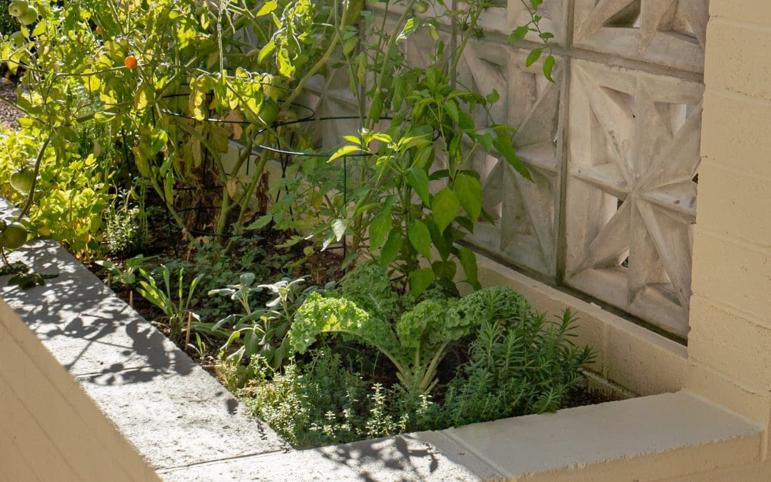 Phoenix Breeze Block raised garden bed