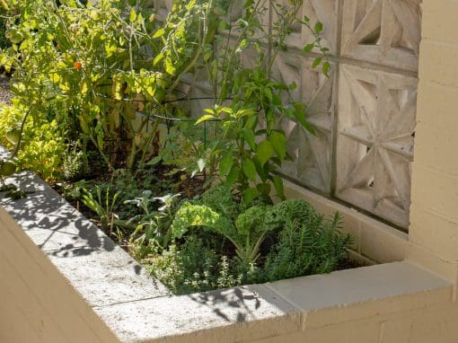 Phoenix Breeze Block raised garden bed